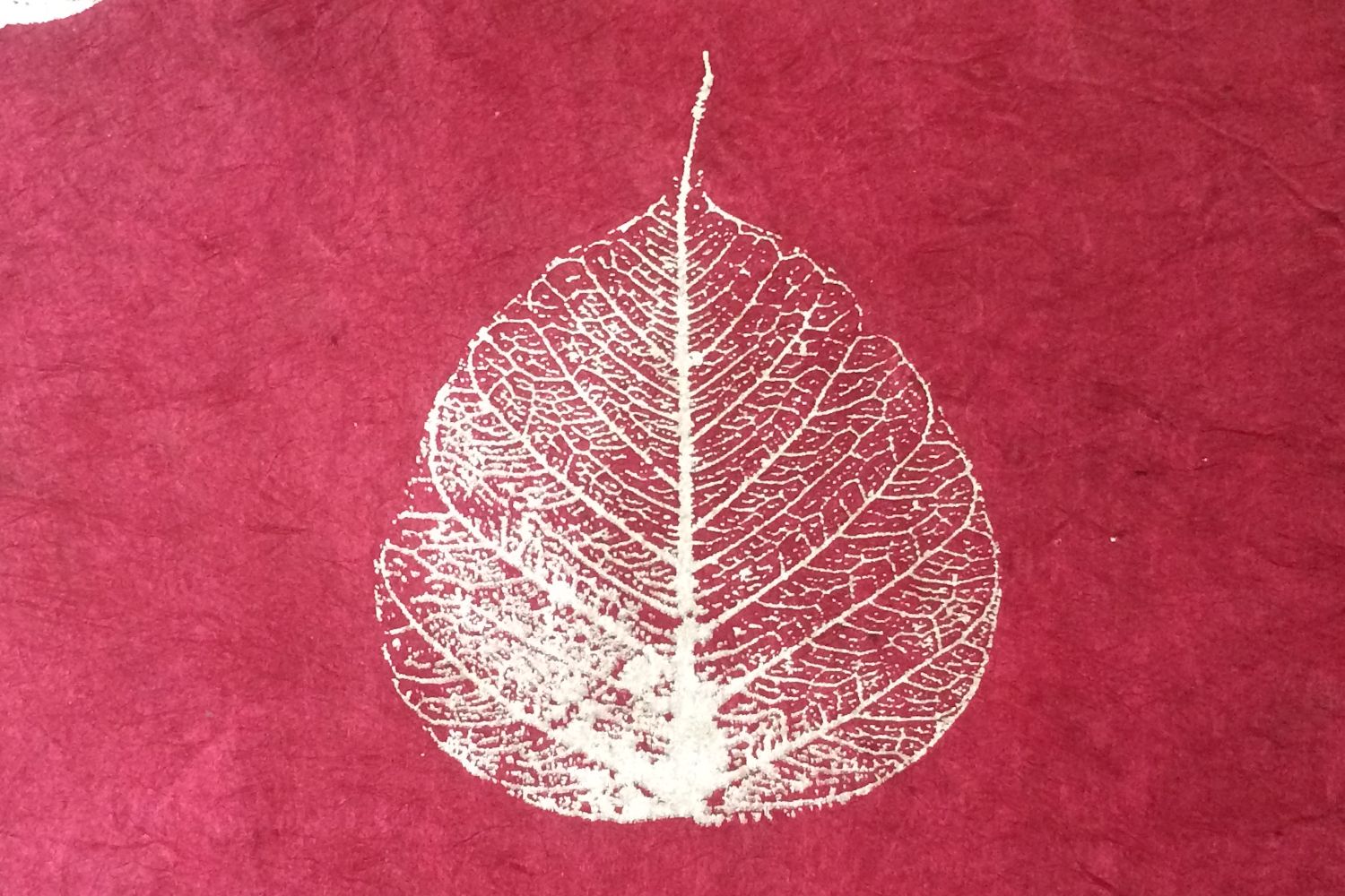 Fair Trade Bodhi Leaf Gift Wrap - Design Close Up